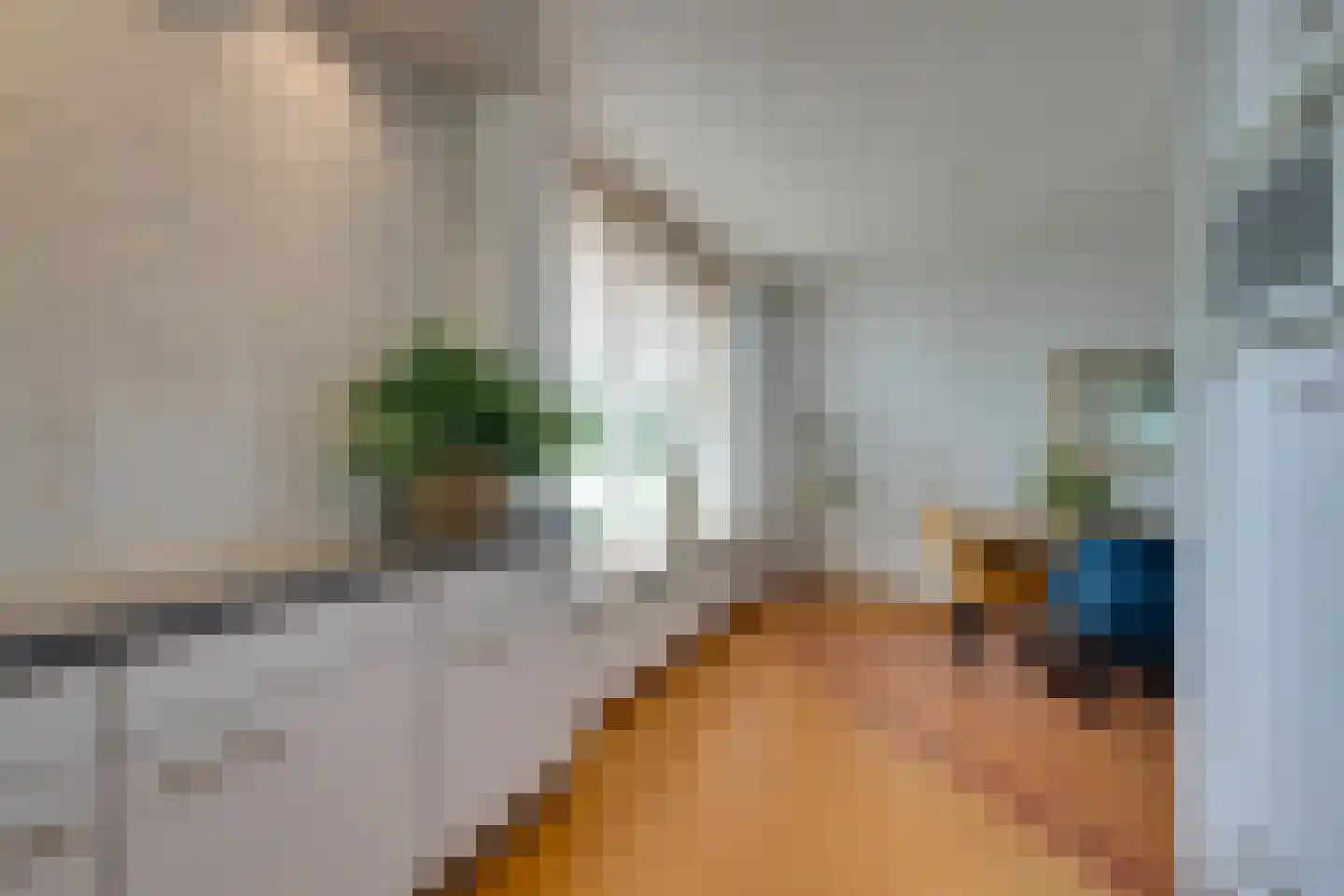 Scholekster 26 Mijdrecht thumbnail 25