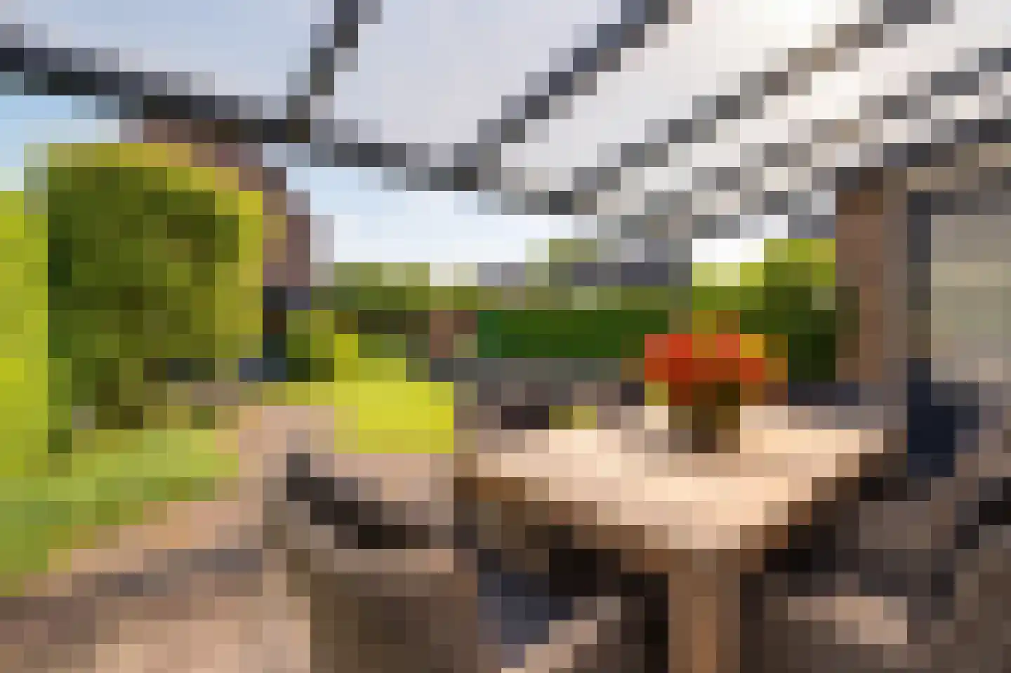 Scholekster 26 Mijdrecht thumbnail 26