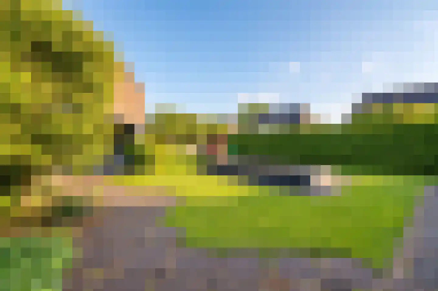 Scholekster 26 Mijdrecht thumbnail 27