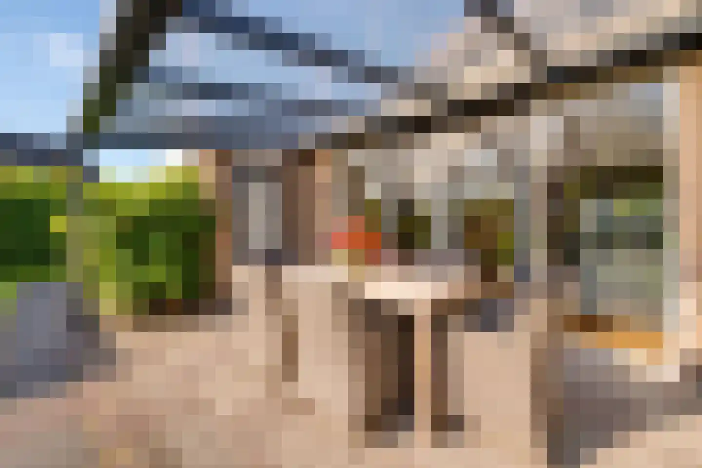 Scholekster 26 Mijdrecht thumbnail 29