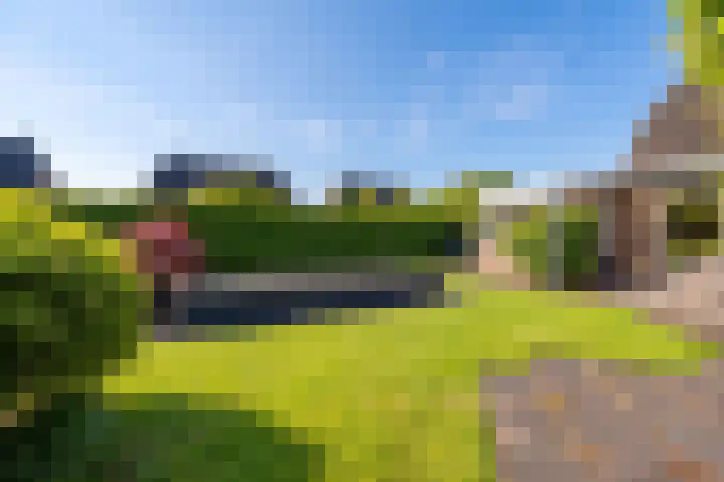 Scholekster 26 Mijdrecht thumbnail 30