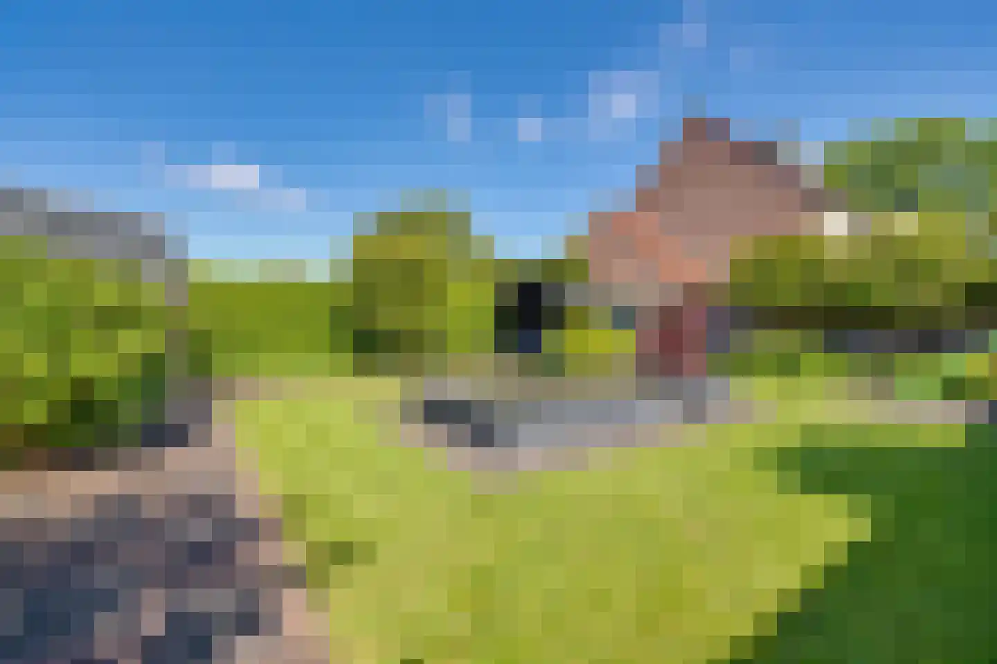 Scholekster 26 Mijdrecht thumbnail 31