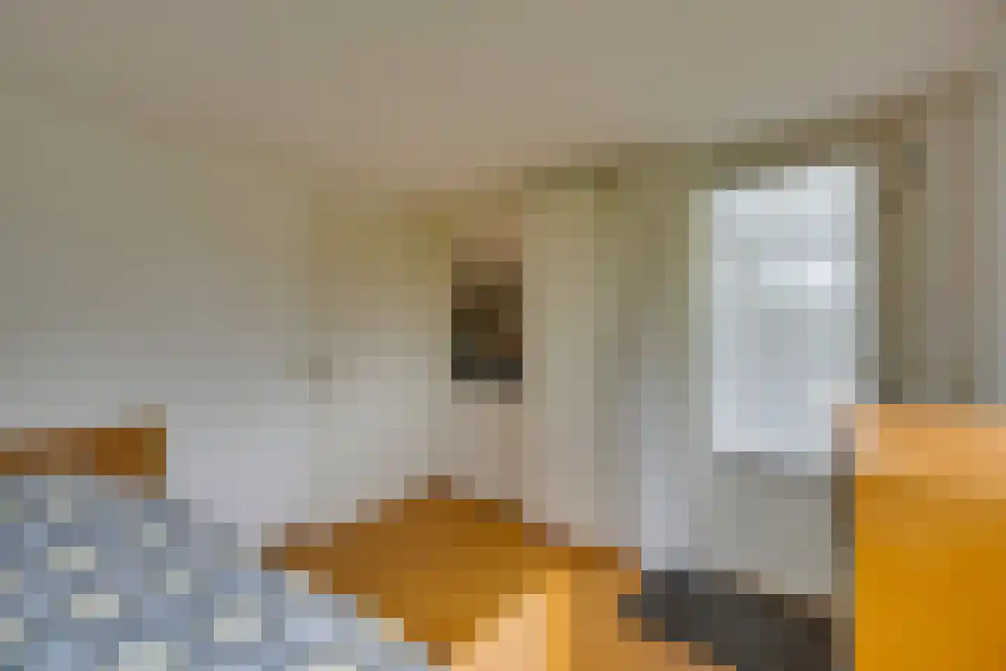 Scholekster 26 Mijdrecht thumbnail 35