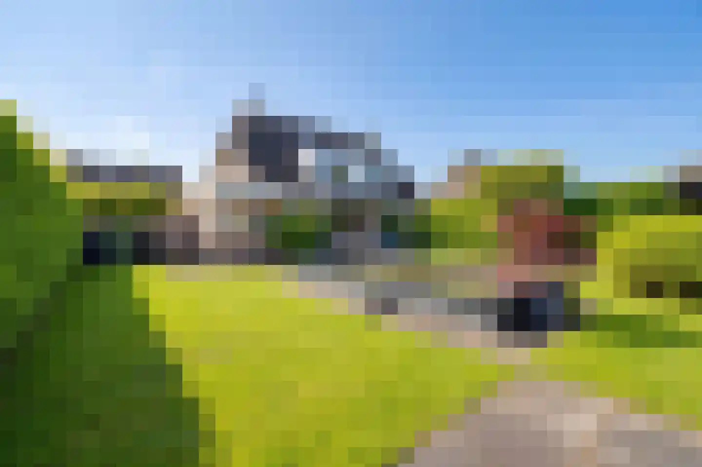 Scholekster 26 Mijdrecht thumbnail 4