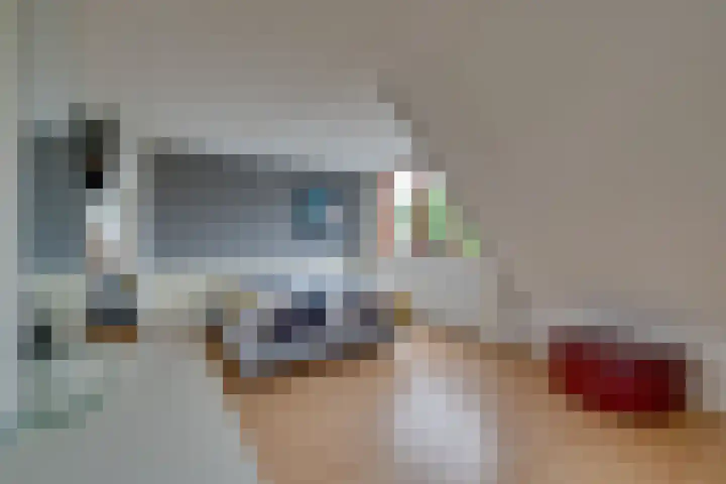 Scholekster 26 Mijdrecht thumbnail 41
