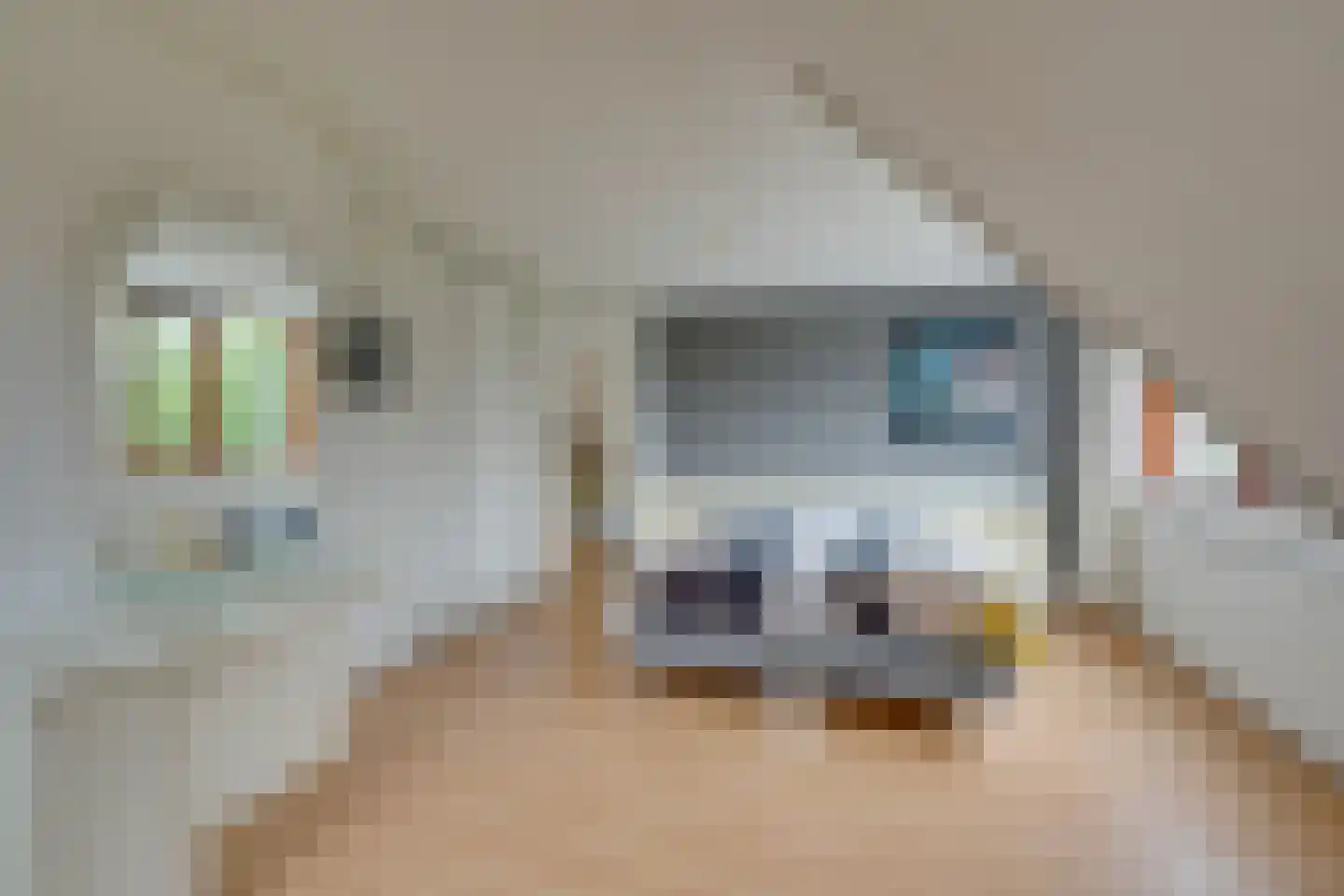 Scholekster 26 Mijdrecht thumbnail 42