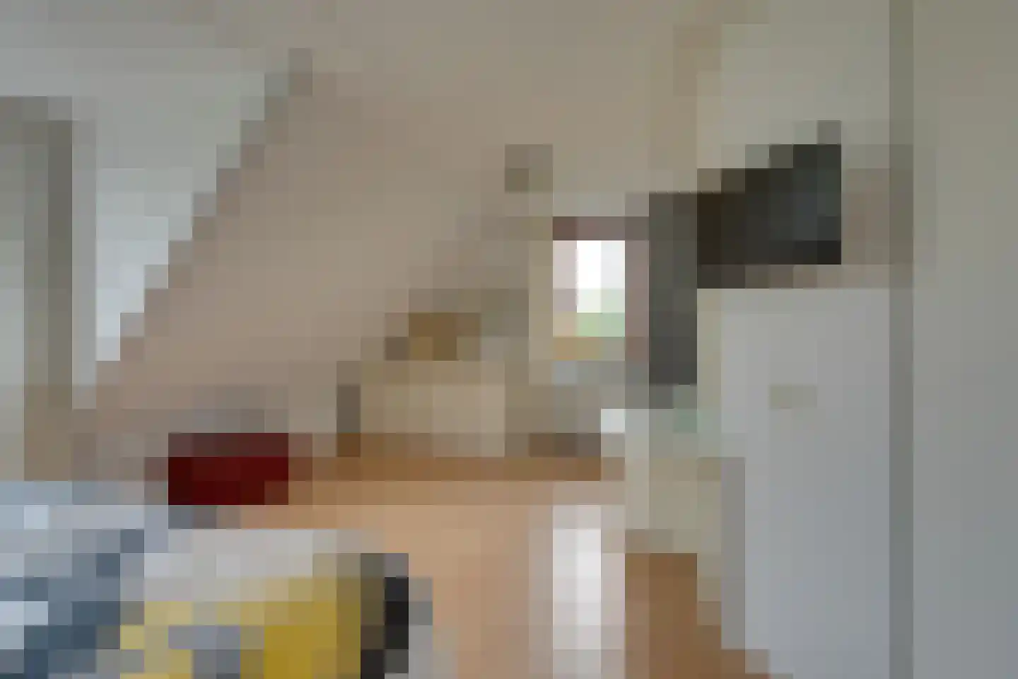 Scholekster 26 Mijdrecht thumbnail 43