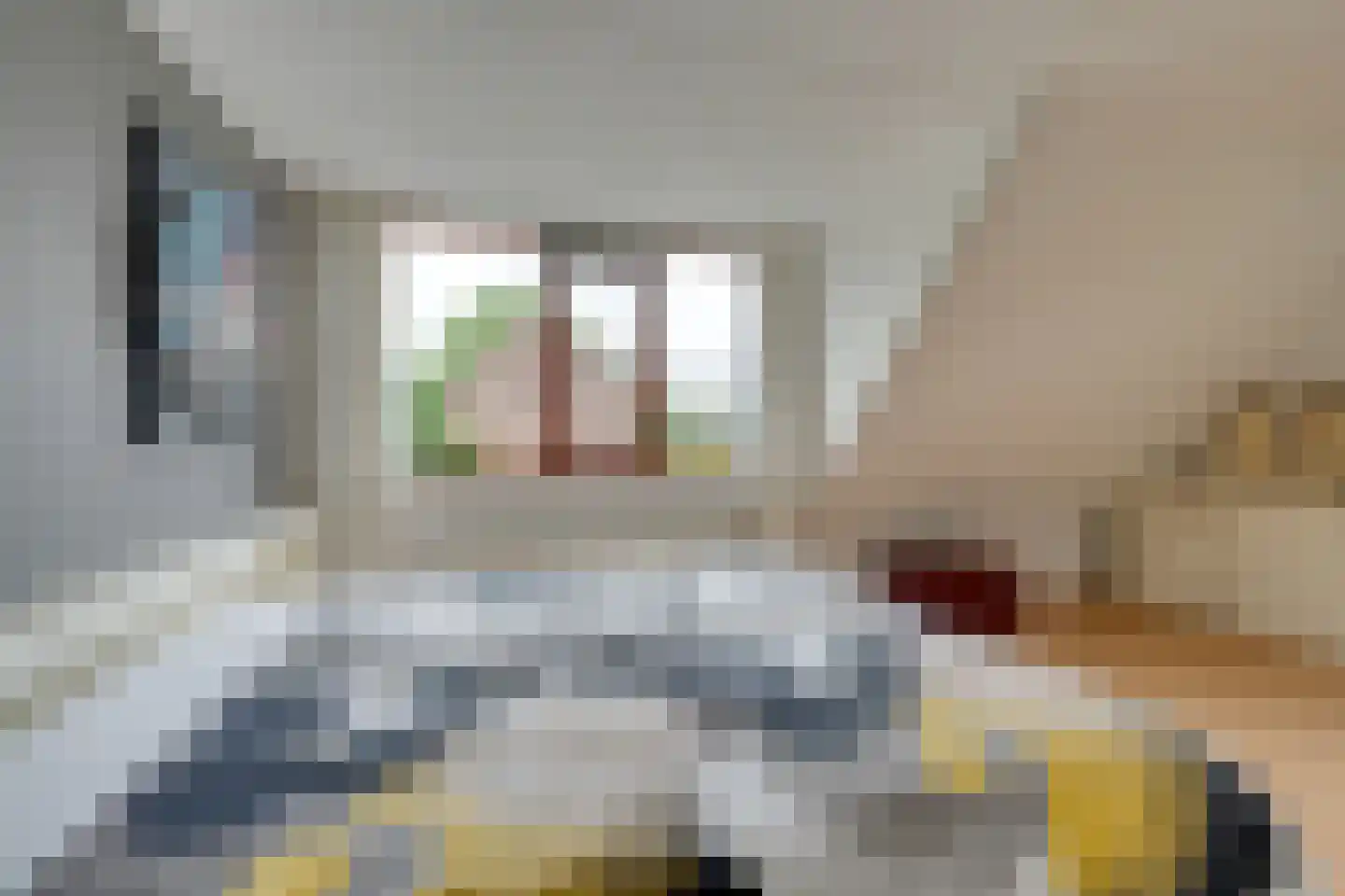 Scholekster 26 Mijdrecht thumbnail 44
