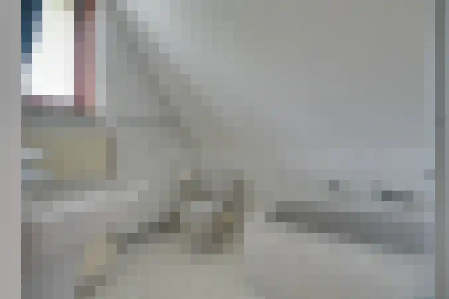 Scholekster 26 Mijdrecht thumbnail 48