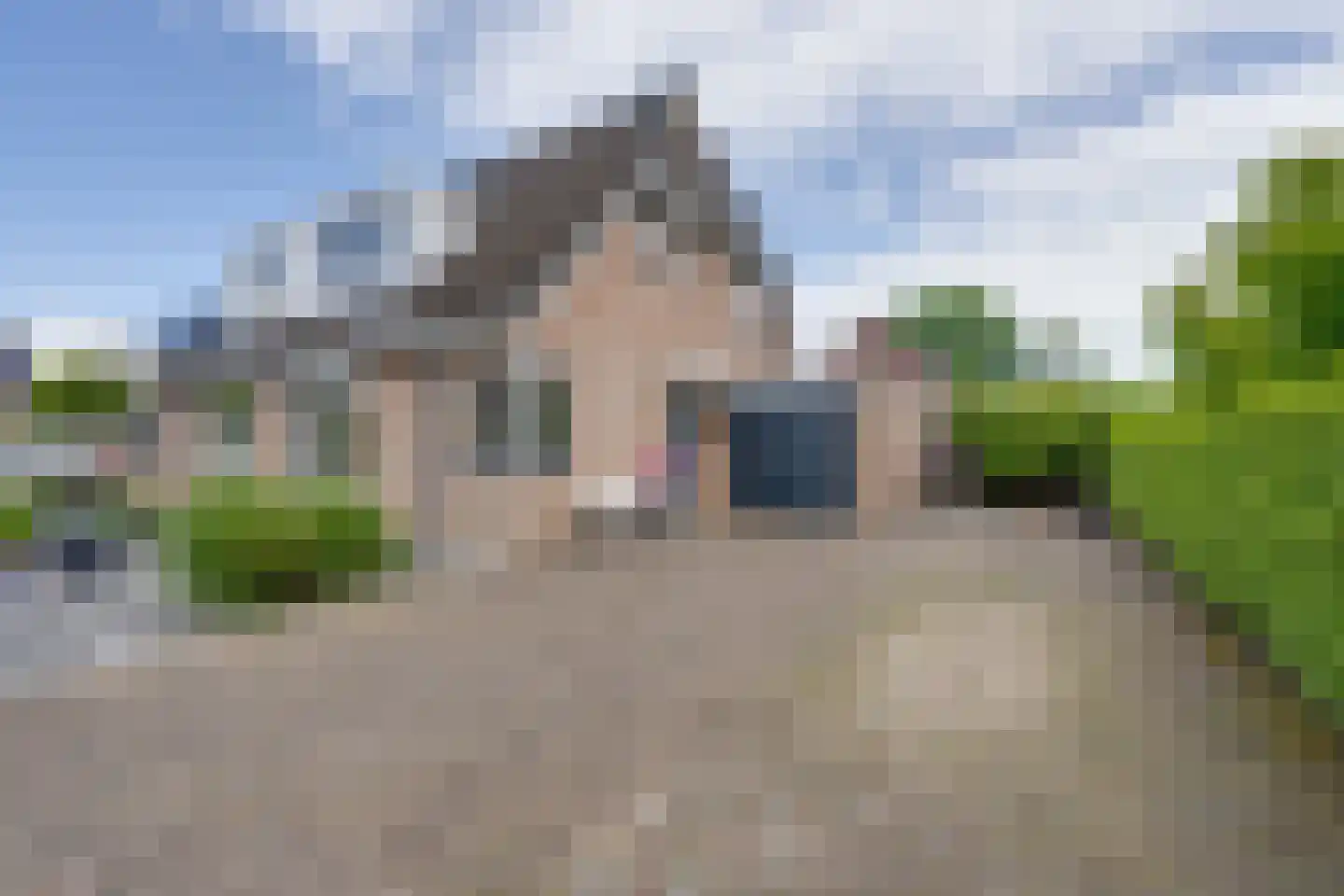 Scholekster 26 Mijdrecht thumbnail 56