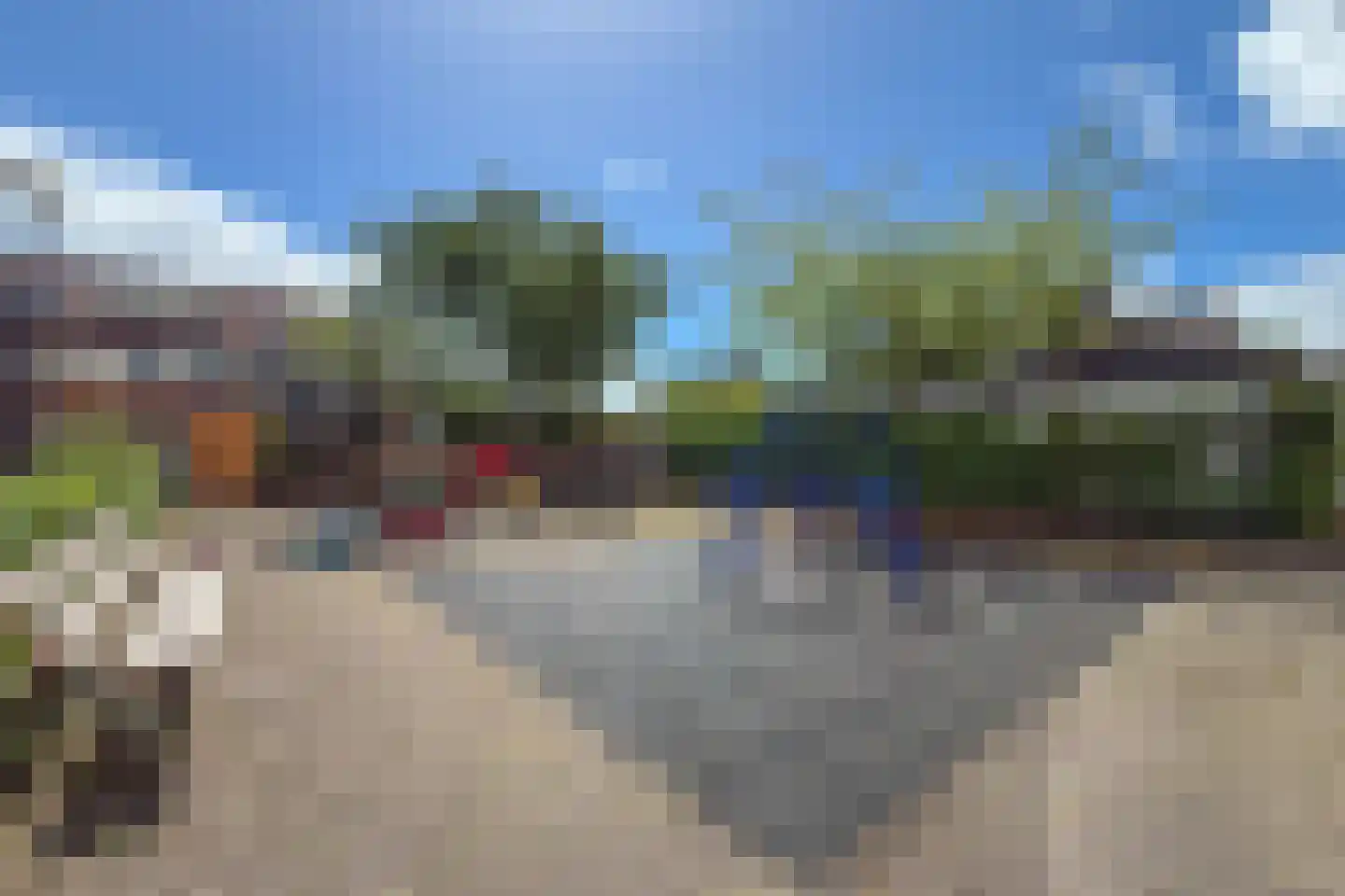 Scholekster 26 Mijdrecht thumbnail 59