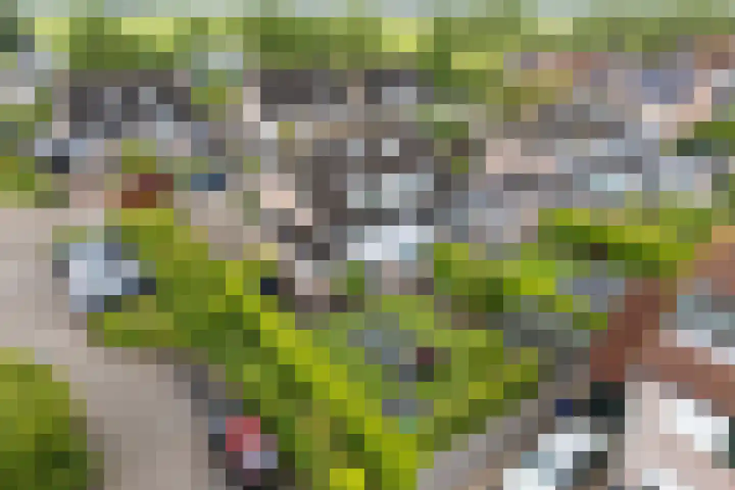 Scholekster 26 Mijdrecht thumbnail 6