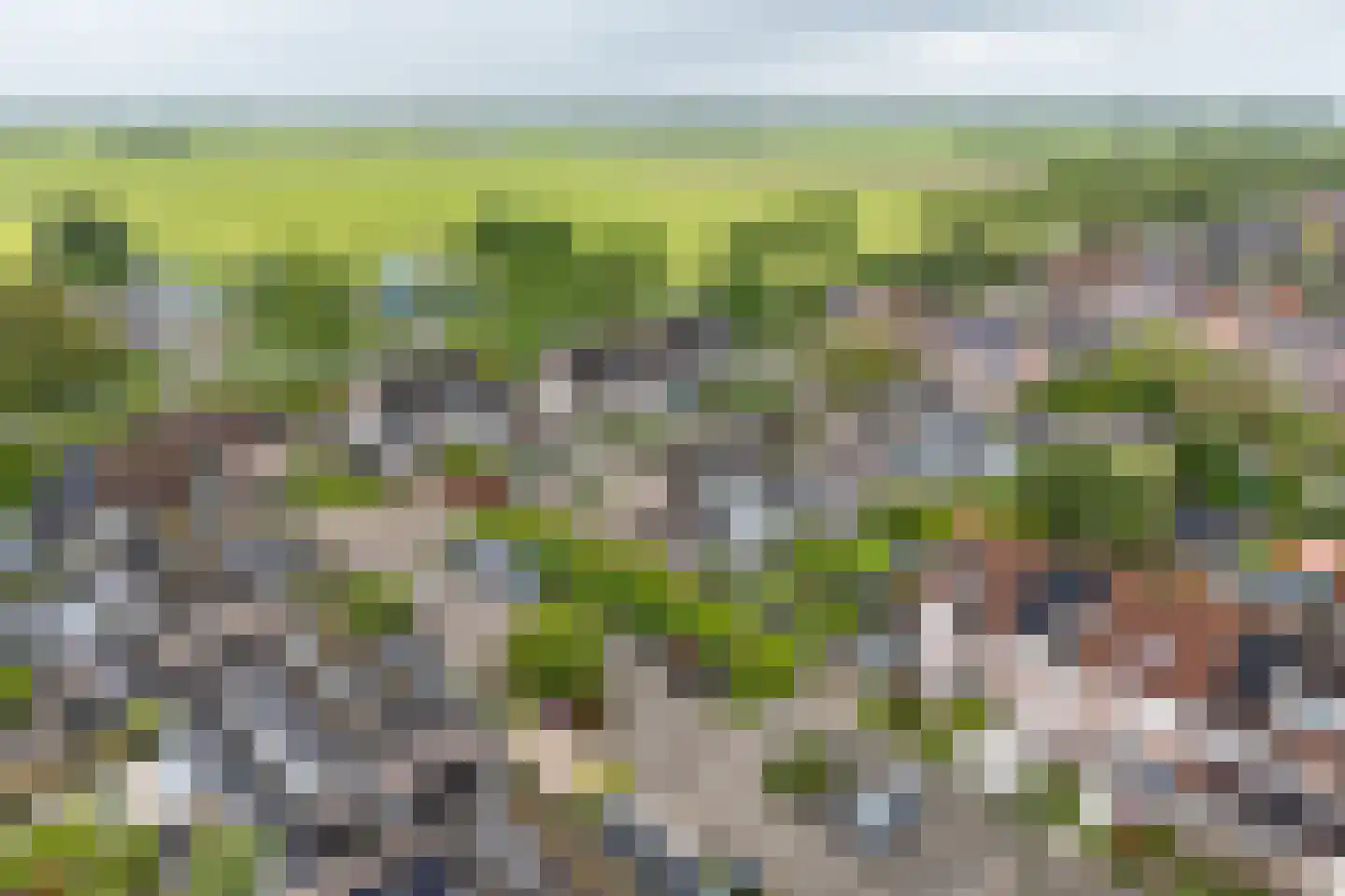 Scholekster 26 Mijdrecht thumbnail 7