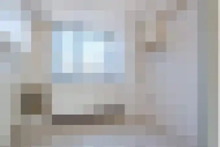 Scholekster 27 Noordwijk thumbnail 14