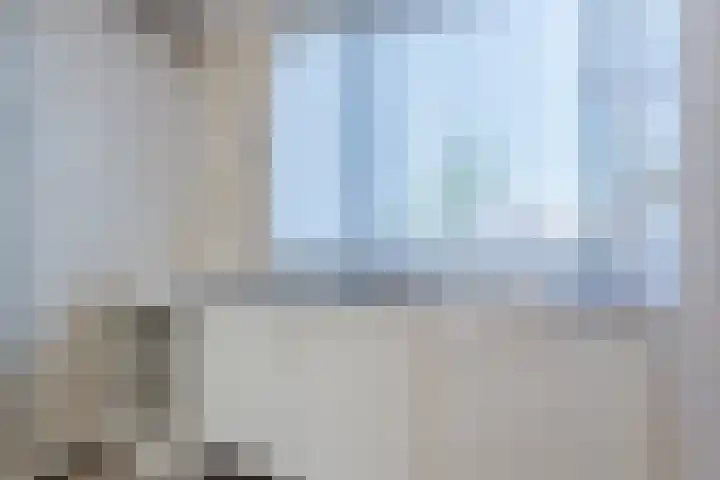 Scholekster 27 Noordwijk thumbnail 15