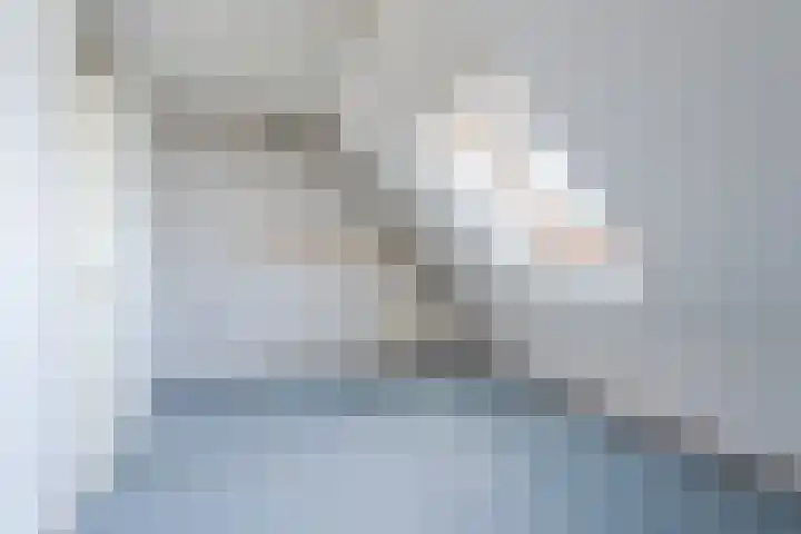 Scholekster 27 Noordwijk thumbnail 20