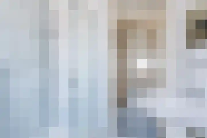 Scholekster 27 Noordwijk thumbnail 22