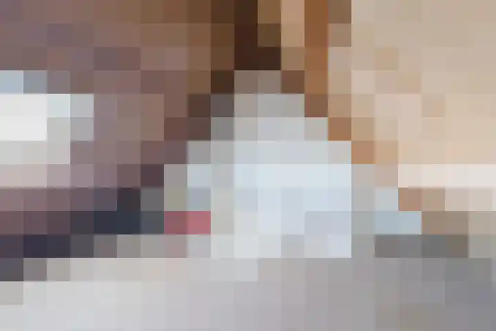 Scholekster 27 Noordwijk thumbnail 24