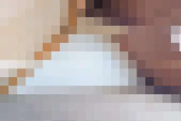 Scholekster 27 Noordwijk thumbnail 25