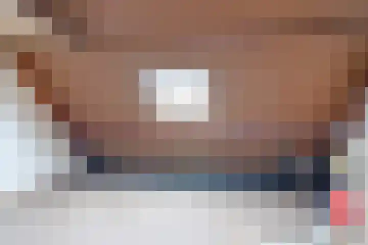 Scholekster 27 Noordwijk thumbnail 26