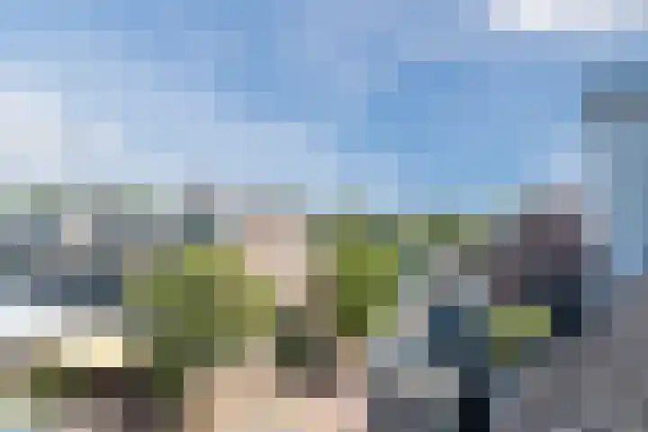 Scholekster 27 Noordwijk thumbnail 27