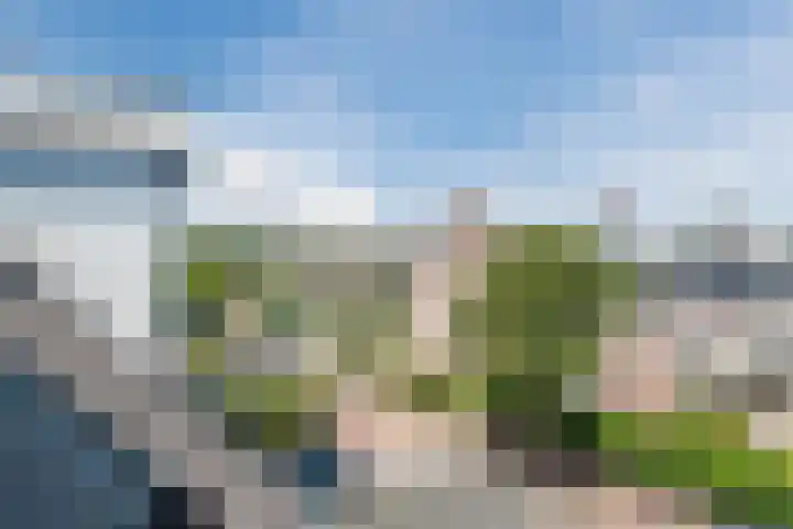 Scholekster 27 Noordwijk thumbnail 28