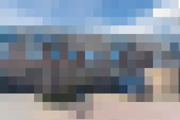 Scholekster 27 Noordwijk thumbnail 33