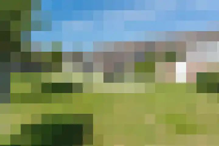 Scholekster 27 Noordwijk thumbnail 35