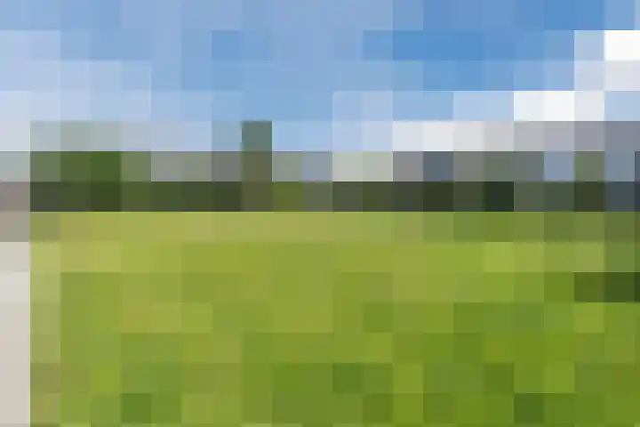 Scholekster 27 Noordwijk thumbnail 36
