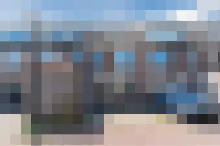 Scholekster 27 Noordwijk thumbnail 42