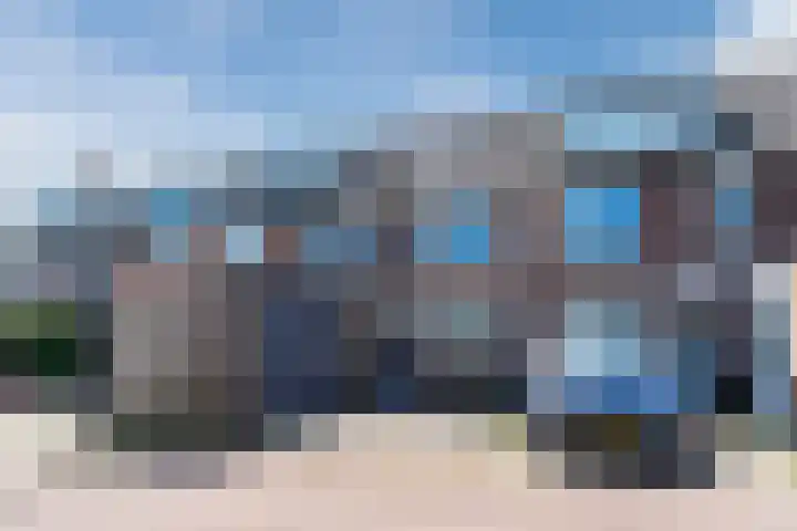 Scholekster 27 Noordwijk thumbnail 5