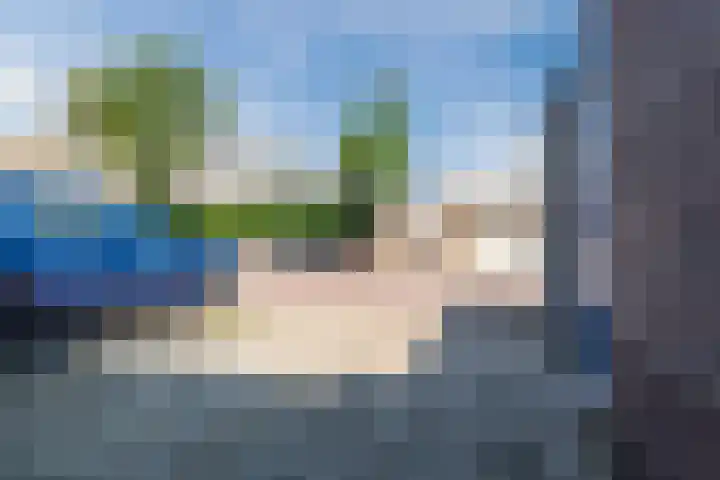 Scholekster 27 Noordwijk thumbnail 7