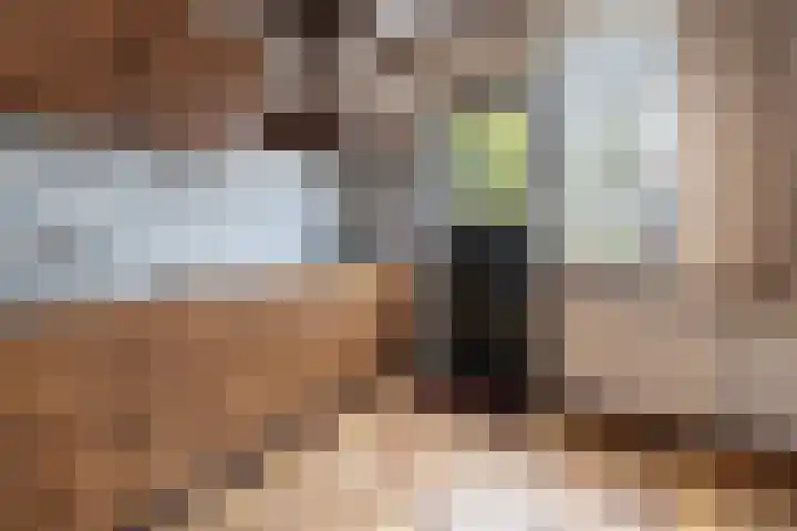 Scholekster 28 Eemnes thumbnail 12