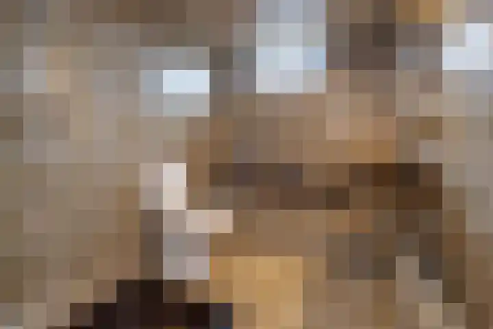 Scholekster 28 Eemnes thumbnail 23