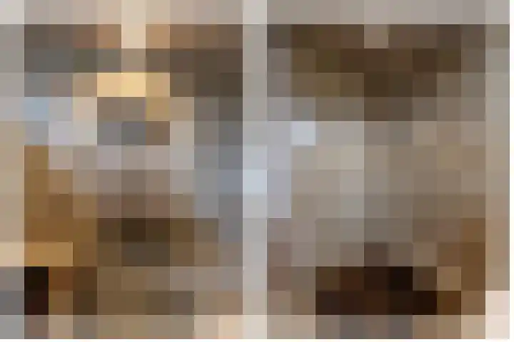 Scholekster 28 Eemnes thumbnail 24