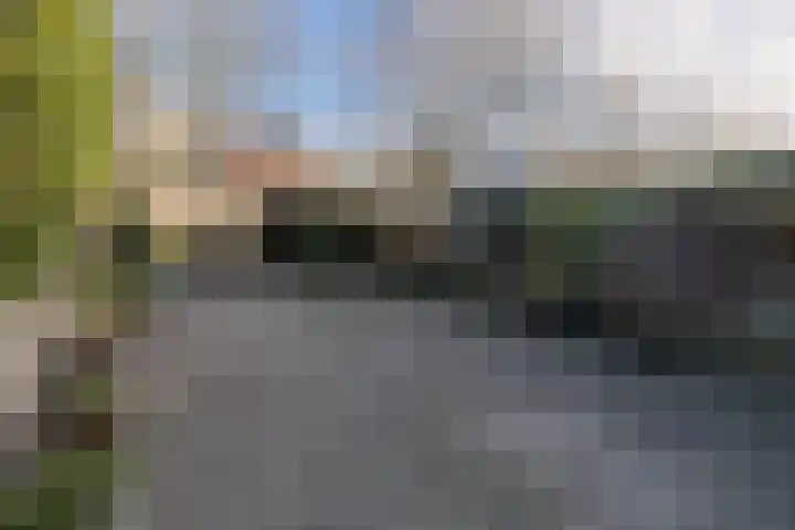 Scholekster 28 Eemnes thumbnail 34