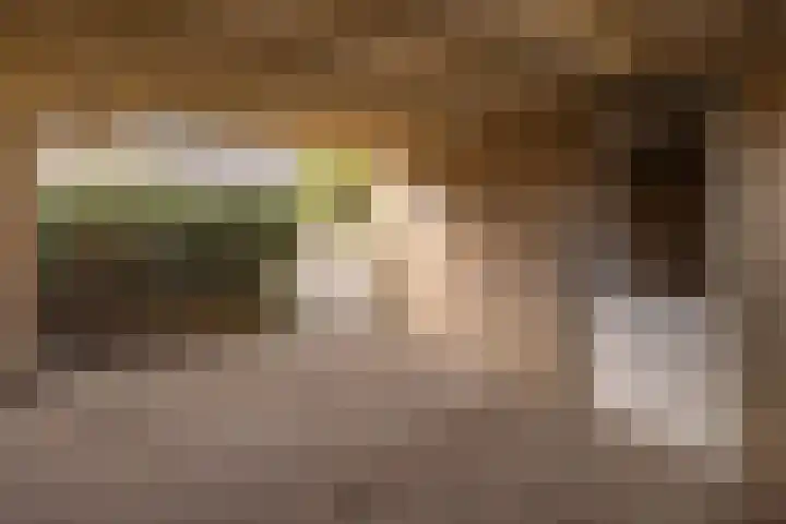 Scholekster 28 Eemnes thumbnail 39