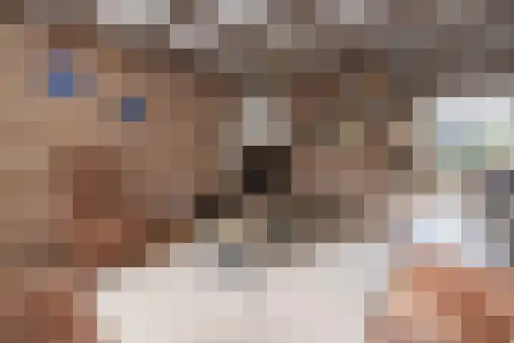 Scholekster 28 Eemnes thumbnail 4