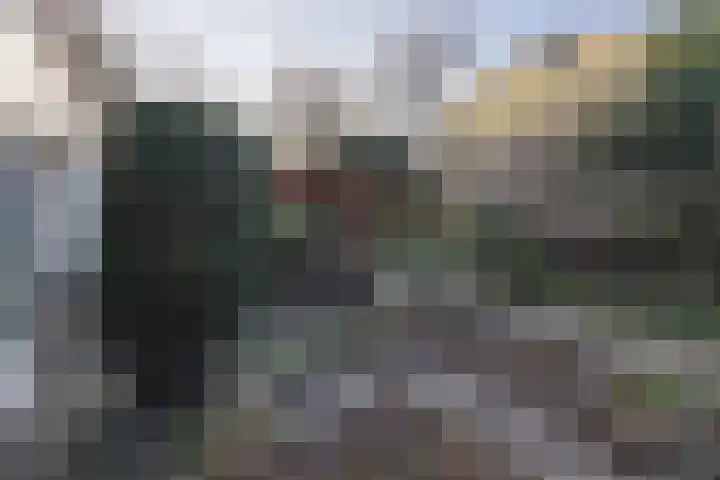 Scholekster 28 Eemnes thumbnail 42