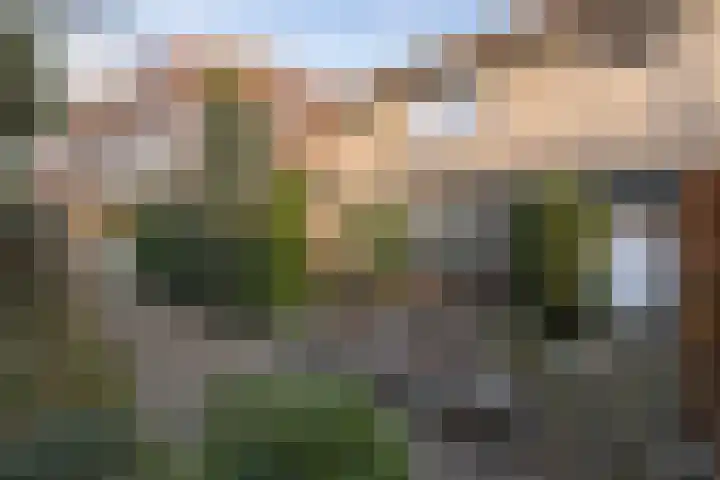 Scholekster 28 Eemnes thumbnail 43