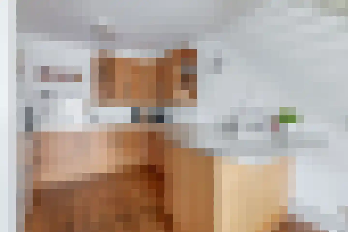 Scholekster 29 Lemmer thumbnail 14