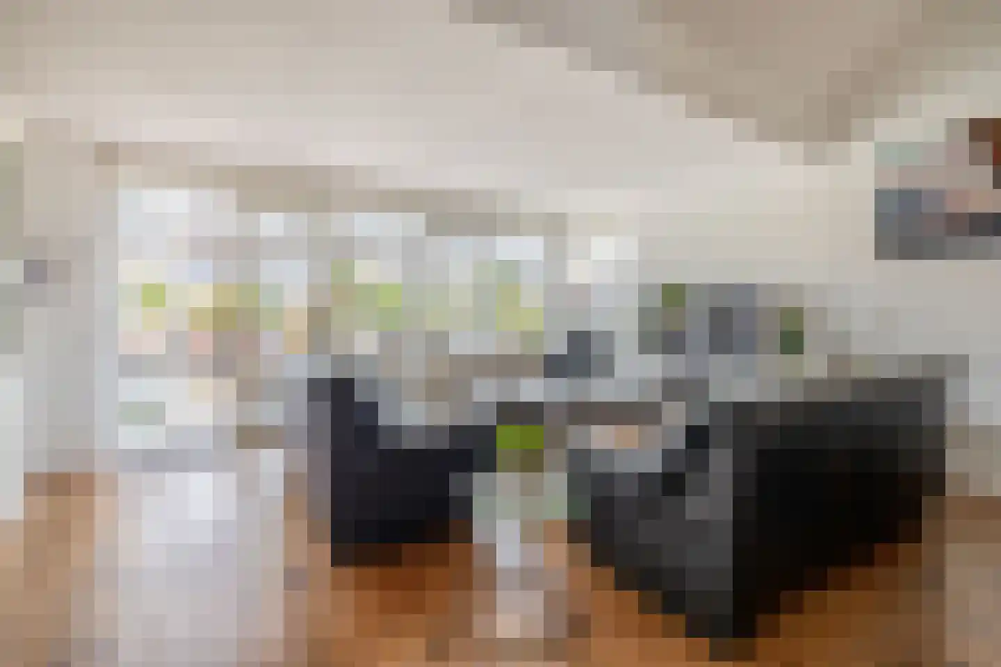 Scholekster 29 Lemmer thumbnail 17