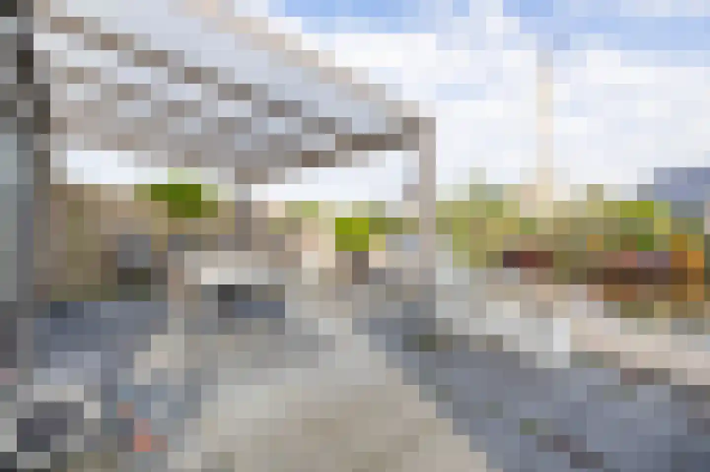 Scholekster 29 Lemmer thumbnail 18