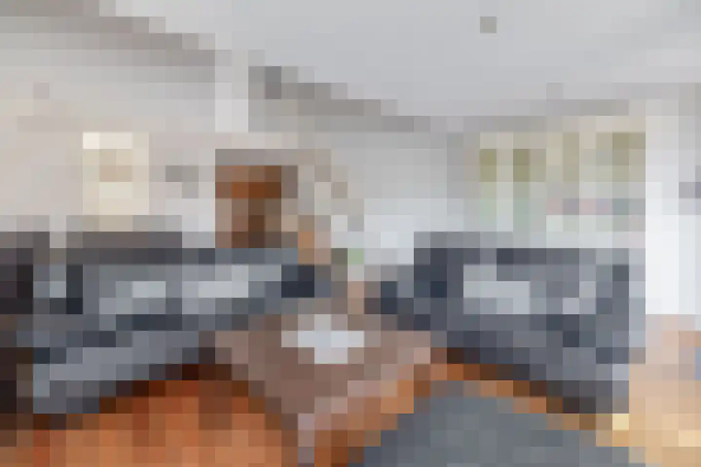 Scholekster 29 Lemmer thumbnail 23