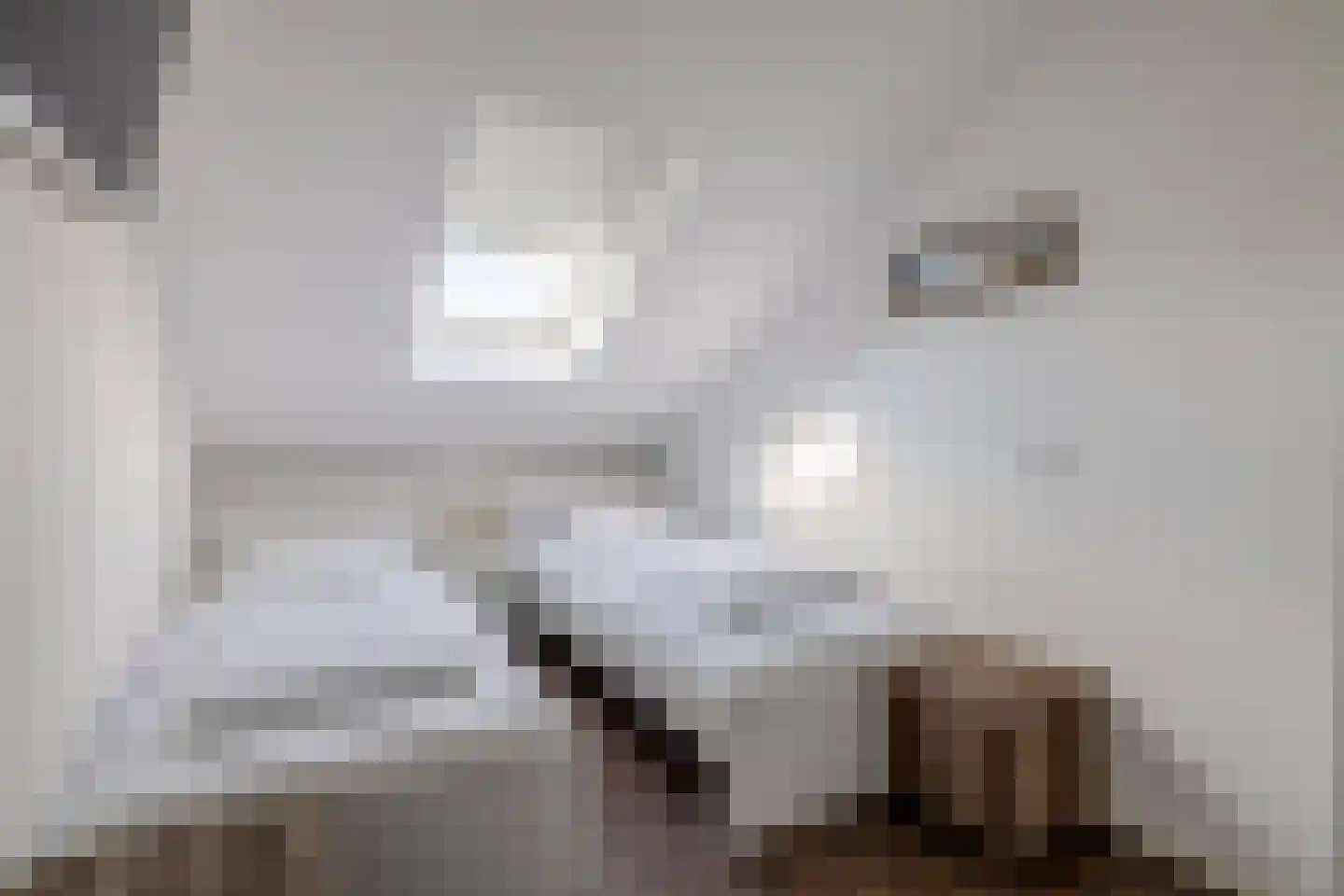 Scholekster 29 Lemmer thumbnail 26