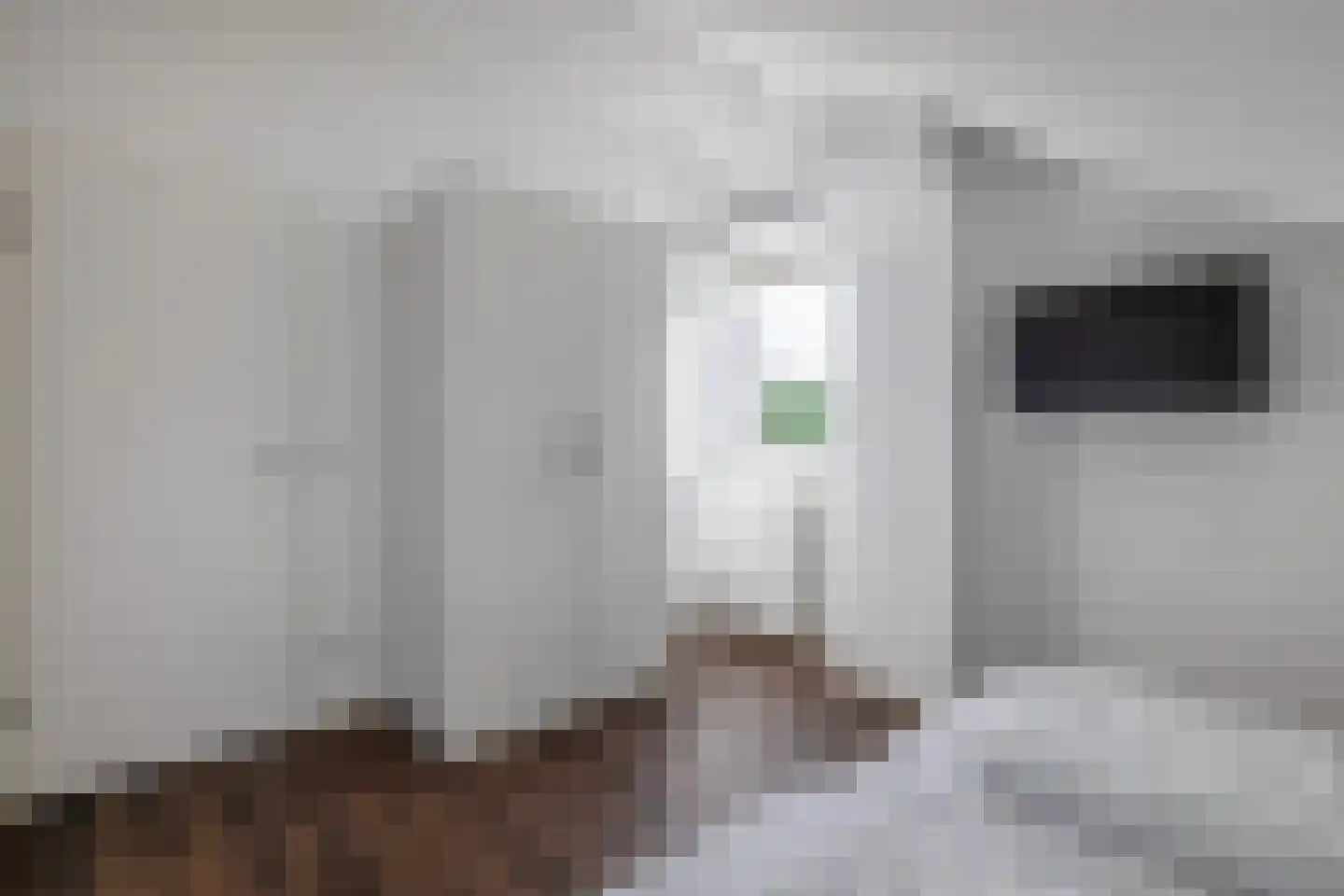 Scholekster 29 Lemmer thumbnail 28