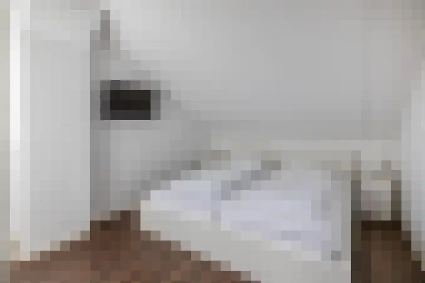 Scholekster 29 Lemmer thumbnail 29