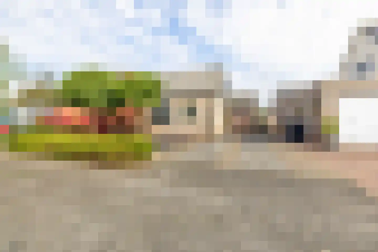 Scholekster 29 Lemmer thumbnail 30