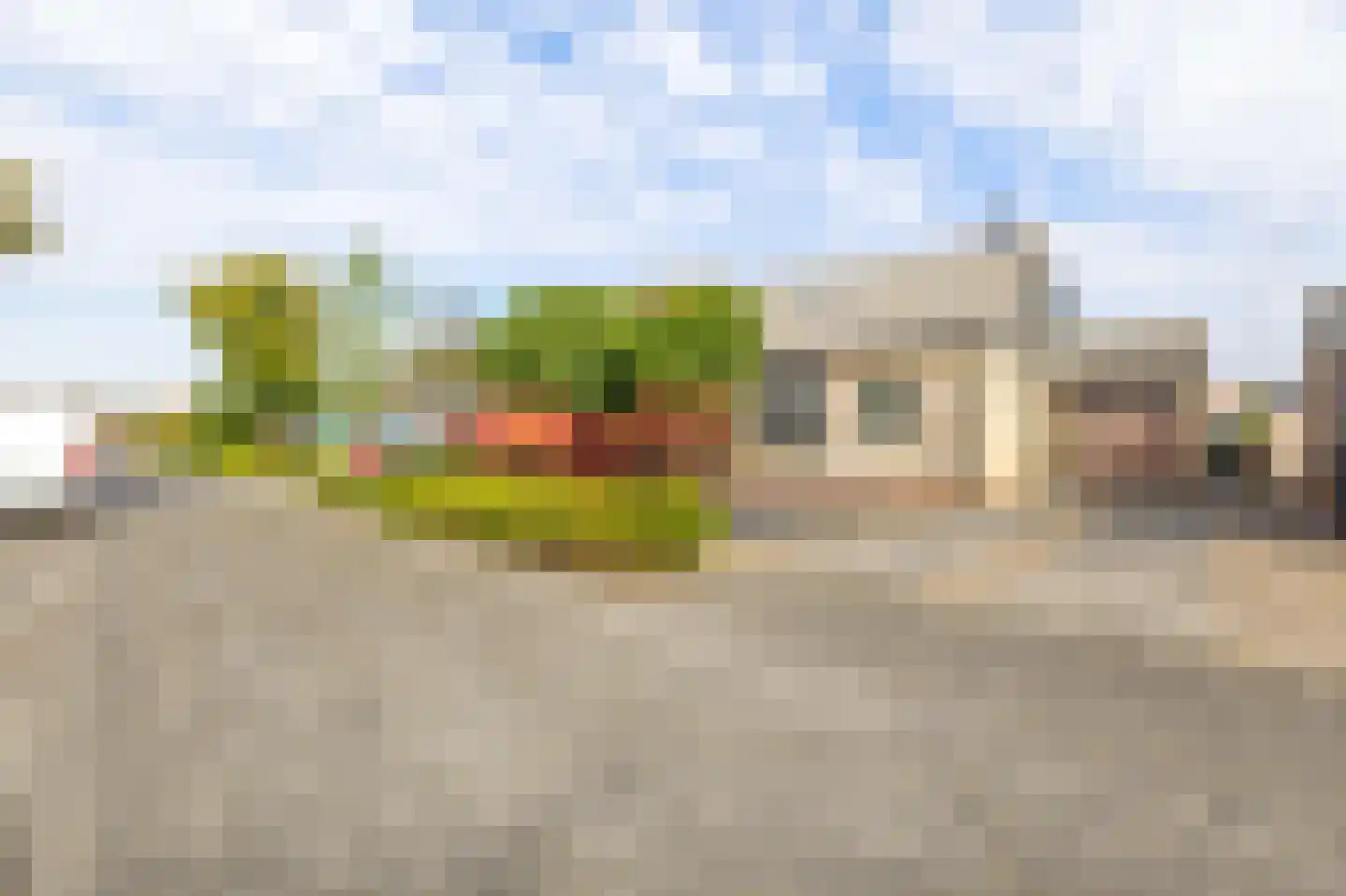 Scholekster 29 Lemmer thumbnail 31