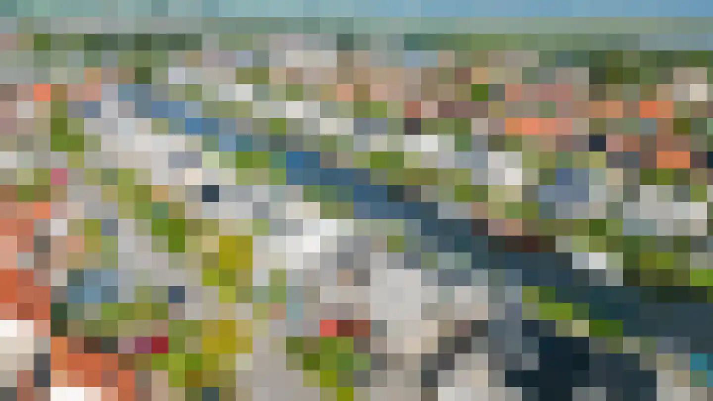 Scholekster 29 Lemmer thumbnail 32